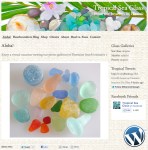 Tropical Sea Glass website design by Windlass Creative